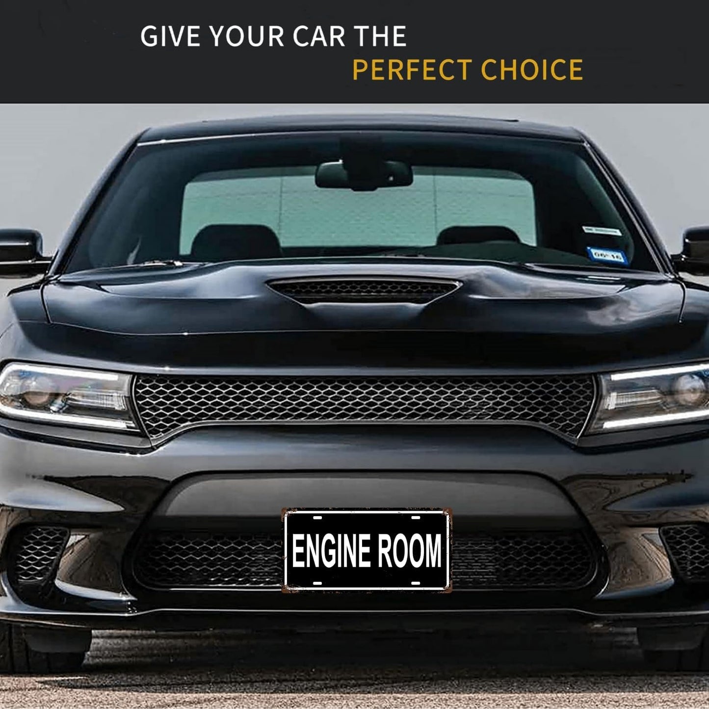 ENGINE ROOM SPACE Metal Tin Sign License Plate Bar Cafe Garage Cave Home Room Wall Bathroom Farmhouse Garden Porch Patio Decor, 12 x 6 Inch