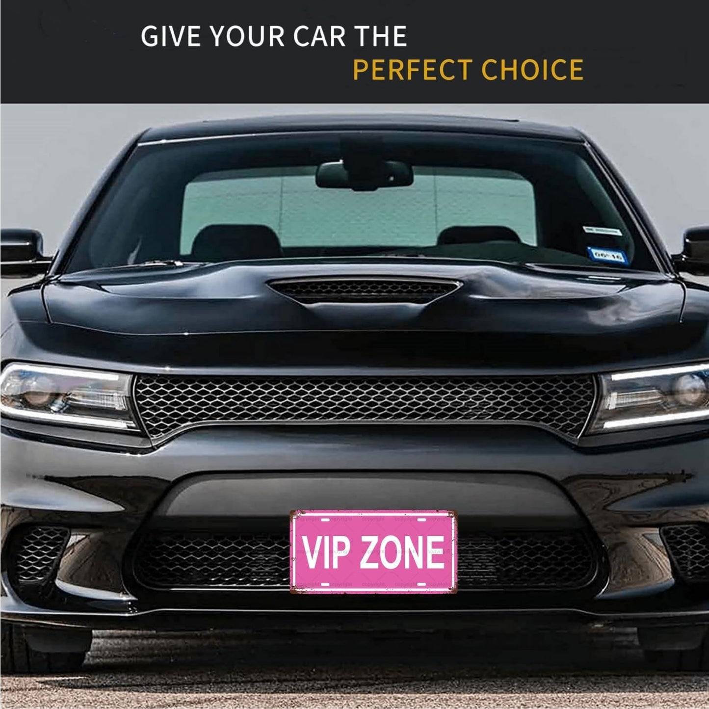 VIP ZONE Space Vintage Metal Tin Sign, License Plate, Home Decor, Room Decor, Wall Decor, Bathroom Decor, Bar Decor, Cafe Decor, Garage Decor, 12 x 6 Inch