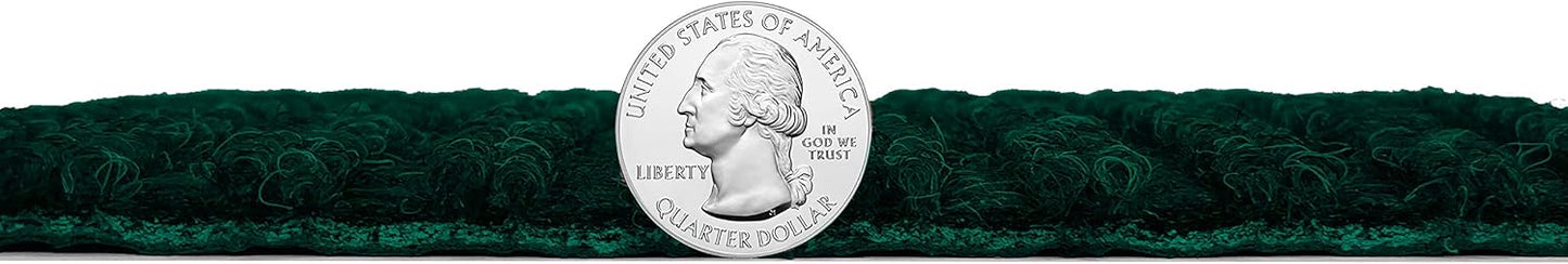 KOECKRITZ Heavy Duty Durable All Weather Indoor/Outdoor Non Slip Entrance Mat Rugs and Runners for Office Business Building Home Garage Front Door (5' x 9', Green)