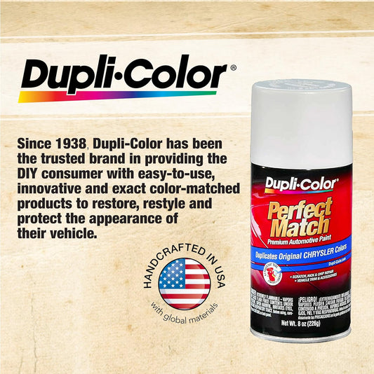 Dupli-Color AFM0361 Scratch Fix All-In-1 Exact-Match Automotive Touch-Up Paint – Ford Silver Birch – 0.25 oz. Paint Pen