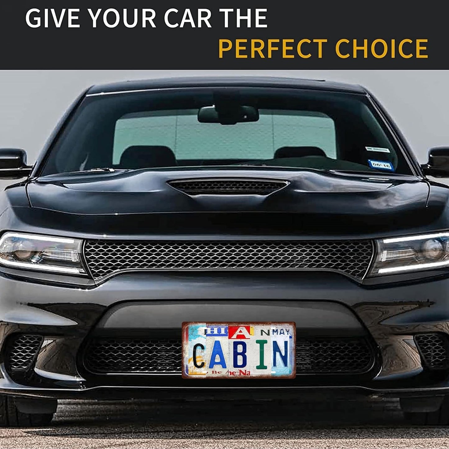 CABIN Space Vintage Metal Tin Sign License Plate Bar Cafe Garage Cave Home Room Wall Bathroom Farmhouse Garden Porch Patio Decor, 12 x 6 Inch