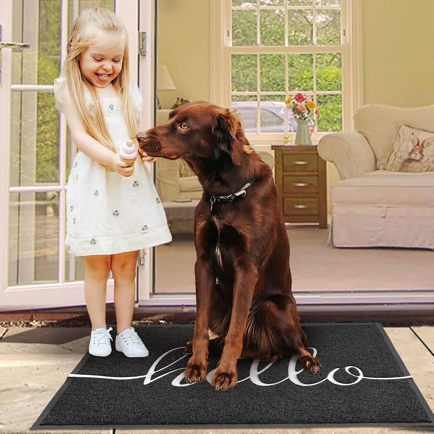 EARTHALL Funny Hello Mats Outdoor, Front Door Mat for Outside Entry, Doormat Outside/Inside Entrance, Front Door Rugs for Entryway Indoor, Outdoor Mats for Home Entrance, Front Porch Decor 20"x32"